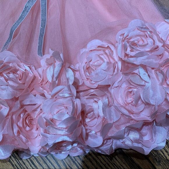 Little Lass Adorable Pink Floral Fancy Dress size 24 Months - Picture 2 of 12